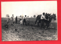 F 21554 REPRODUCTION  Photographe ARMAND DERIAZ Les Labours Entre Baulmes Et Rances 1918 ( Belle Scène) - Fotos