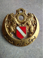 Médaille Militaire Insigne 8° RSA Régiment De Spahis Algériens Devise En Arabe Drago - Army