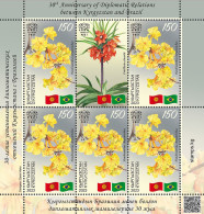 NEW! 2024 KYRGYZSTAN. 30th Ann. DIPLOMATIC RELATIONS With BRAZIL. FLAGS.M/S** - Kyrgyzstan