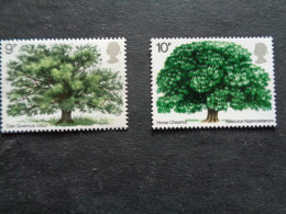 Grande Bretagne Great Britain Chêne Marronnier D'Inde Oak Eik Eiche Roble Trees Chestnut Tree Boom Bäum árbol Albero - Trees