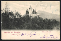 AK Arlesheim, Blick Auf Schloss Birseck  - Arlesheim