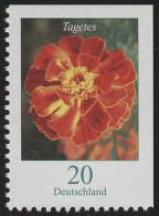 2471Eo Blumen 20 C Tagetes, Oben Und Rechts Geschnitten, ** - Unused Stamps