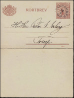 Kartenbrief K 15 KORTBREV 15 Öre Mit DV 919, Gelaufen 29.5.1920, Karte Ohne Rand - Ganzsachen