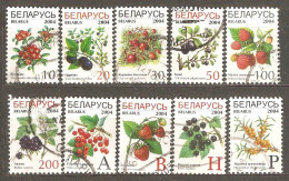Belarus: Set Of 10 Used Definitive Stamps, Berries, 2004, Mi#514-28 - Bielorussia