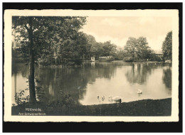 AK Mittweida Schwanenteich Sachsen, Mittweida 07.09.1942 - Altri & Non Classificati