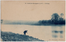 35. Forêt De PAIMPONT. L'Etang. 66 - Altri & Non Classificati