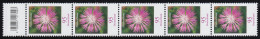 3470 Flockenblume 95 C. KLEINE Nr. Aus 500er-Rolle, 5er Mit CF (geschl. 4) ** - Roulettes