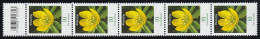 3314 Blume 10 Cent 200er KLEINE Nr., 5er-Streifen Mit Codierfeld (geschl. 4) ** - Roller Precancels