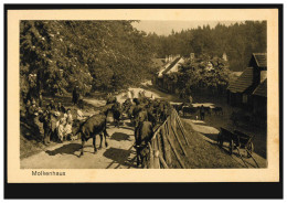 AK Das Molkenhaus Bei Bad Harzburg Am Brockenwege Mit Rinderherde, Ungebraucht  - Other & Unclassified