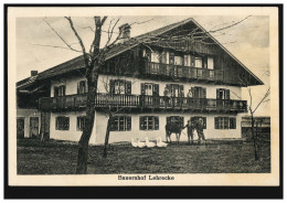 Foto-AK Brunnen Bei Schwangau-Hohenschwangau: Bauernhof Lehrecke SCHWANGAU 1927  - Sonstige & Ohne Zuordnung