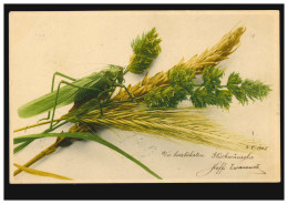 AK Landwirtschaft: Getreideähre Mit Heuschrecke, STUTTGART 28.8.1908 - Sonstige & Ohne Zuordnung