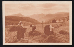 Foto-AK Die Getreideernte - Bauern Beim Garbenbinden, Ungebraucht, Um 1920 - Otros & Sin Clasificación