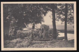 Foto-AK Oberneuland: Heuernte - Transport Mit Kahn, Ungebraucht, Um 1930 - Other & Unclassified