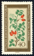 761 Heilpflanzen Heckenrose 40 Pf ** - Unused Stamps
