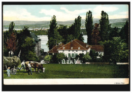 Foto-AK Landschaftsbild Mit Häusern Am See Ochsengespann, Ungebraucht, Um 1920 - Other & Unclassified