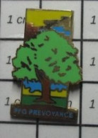 613c Pin's Pins / Beau Et Rare / MARQUES / ARBRE VERT CHENE PFG PREVOYANCE - Marques