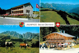 12685642 Jaunpass Hotel Des Alpes Simmental Gastlosen Kiosk-Bazar Jaunpass - Autres & Non Classés