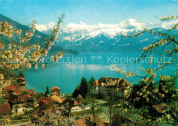 12680708 Thunersee Park Hotel Gunten Mit Eiger Moench Jungfrau Scherzligen - Otros & Sin Clasificación