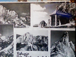 SAPPADA BELLUNO RIFUGIO CALVI VB1957 JV6319 - Belluno