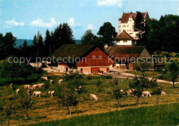 12677440 Stettfurt Schloss Sonnenberg Stettfurt - Other & Unclassified