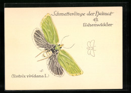 AK Eichenwickler, Schmetterlinge Der Heimat  - Insectes