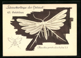 AK Geistchen, Schmetterlinge Der Heimat  - Insecten