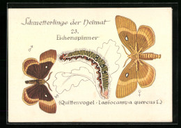 AK Schmetterling Der Art Eichenspinner Mit Raupenform  - Insecten