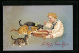 AK Junge Isst Mit Katzen Aus Einer Schüssel  - Gatos