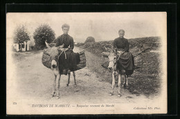 AK Biarritz, Basquaises Revenant Du Marché  - Donkeys