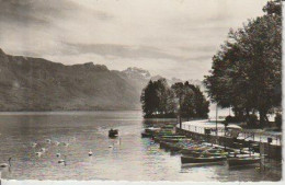 ANNECY  ( 74 )  LE LAC ET  L'ILE  AUX  CYGNES  VUS  DU  PONT DES  AMOURS   -  CPSM  ( 24/ 4 / 134  ) - Annecy