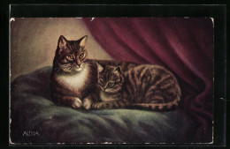 AK Zwei Getigerte Katzen Auf Einem Kissen  - Katzen