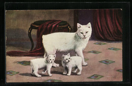 AK Weisse Katzenmutter Mit Zwei Jungen  - Gatti