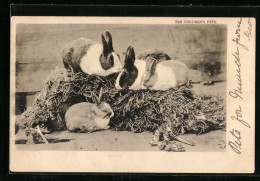 AK Vier Kaninchen Auf Einem Strohballen  - Other & Unclassified