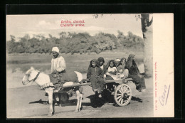 AK Arabic Chariot, Arber Mit Eselgespann  - Donkeys