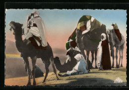 AK Algerien, Beduinen Mit Kamelen In Der Wüste  - Otros & Sin Clasificación