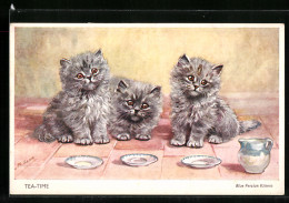 Künstler-AK Blue Persian Kittens, Perser-Kätzchen  - Gatti