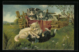 Künstler-AK Katzen Beim Spielen Auf Dem Feld  - Gatos