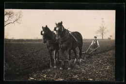 AK Bauer Beim Pflügen Des Ackers Mit Seinem Pferdegespann  - Chevaux