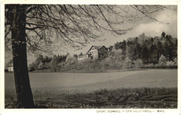 Der Wolfsberg - Sächs. Schweiz - Andere & Zonder Classificatie