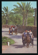 CPSM / CPM 10.5 X 15 Tunisie GABES Promenade à Travers L'Oasis  Calèche Cheval - Tunesië