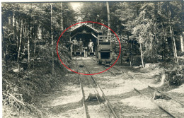 RAR ! Allemande Photo / Rheinisches Jägerbataillon Nr.8 / Drahtseilbahn Förderbahn Allarmont Lusse Vosges 1-2 WWI 14-18 - Andere & Zonder Classificatie