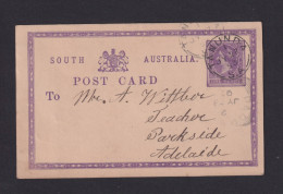 1893 - 1 P. Ganzsache Ab TANUNDA Nach Adelaide - Brieven En Documenten