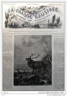 Hirsch Vor Dem Kampf - Cerf - Gravure - Page Original  1878 - Estampes & Gravures