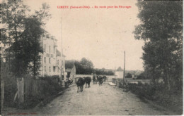 78  LIMETZ  En Route Pour Les Pâturages,  Moulin Metz à Gauche, - Sonstige & Ohne Zuordnung