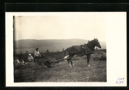 Foto-AK Halm I. T., Familie Wilhelm Müller Bei Der Ernte Mit Pferdewagen, 1926  - Paarden