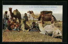 AK Palestine / Palästina, Group Of Camels In The Desert, Dromedare Mit Führern  - Otros & Sin Clasificación