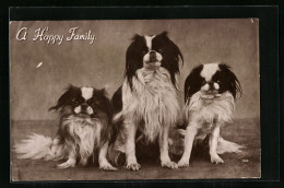 AK A Happy Family, Pekinese Mit Welpen  - Honden