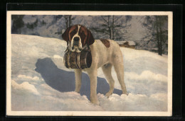 AK Bernhardiner Mit Fass Im Schnee  - Honden