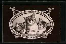 AK The Innocents, Drei Junge Katzen  - Chats