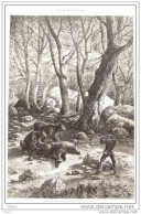 Jagd Auf Grizzly - Les Quatre Grizzly Du Dr. Stanley - Page Original 1879 - Stiche & Gravuren